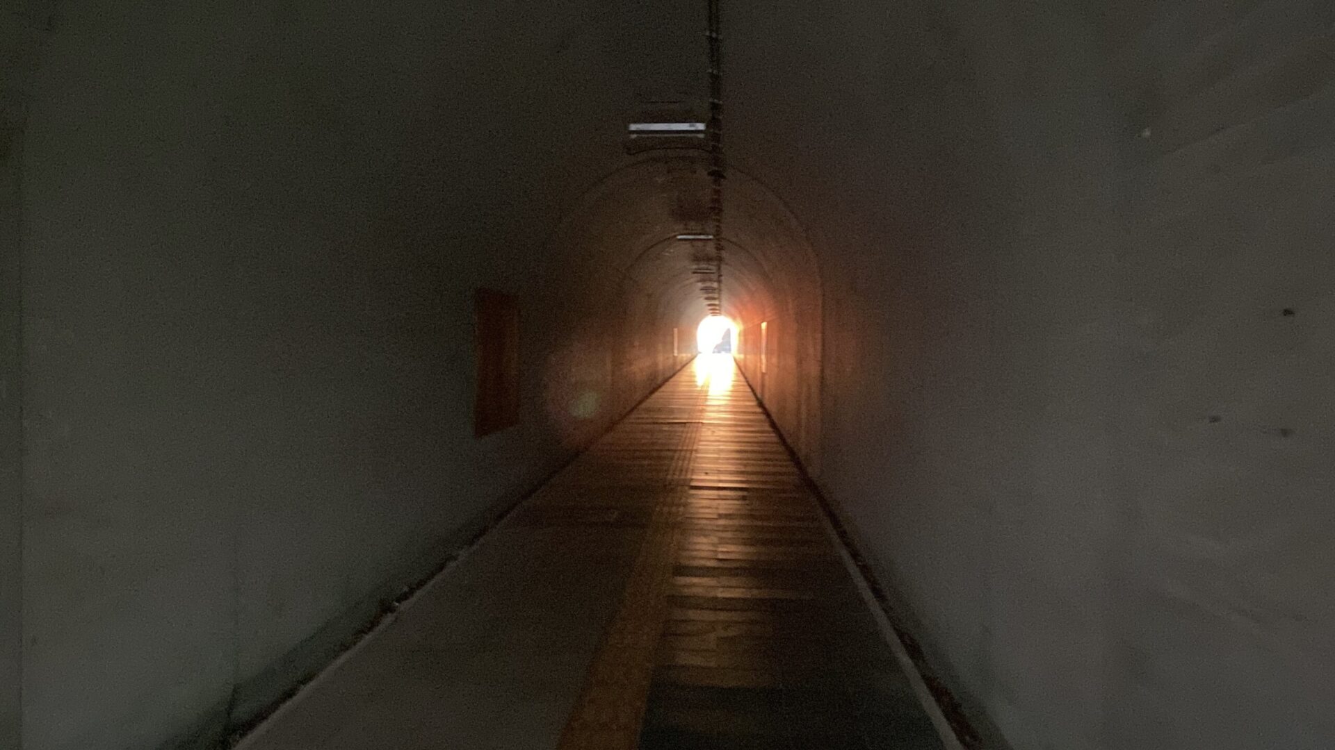 投稿についてもっと詳しく タイムトンネル